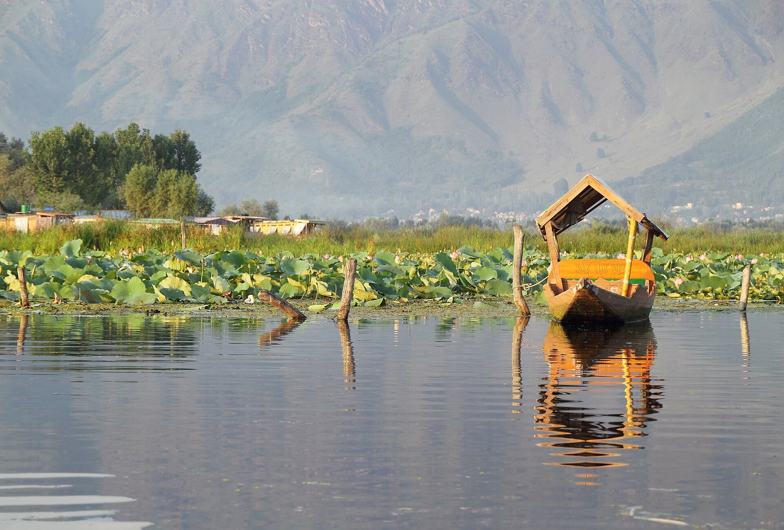 Srinagar Kashmir travel photo